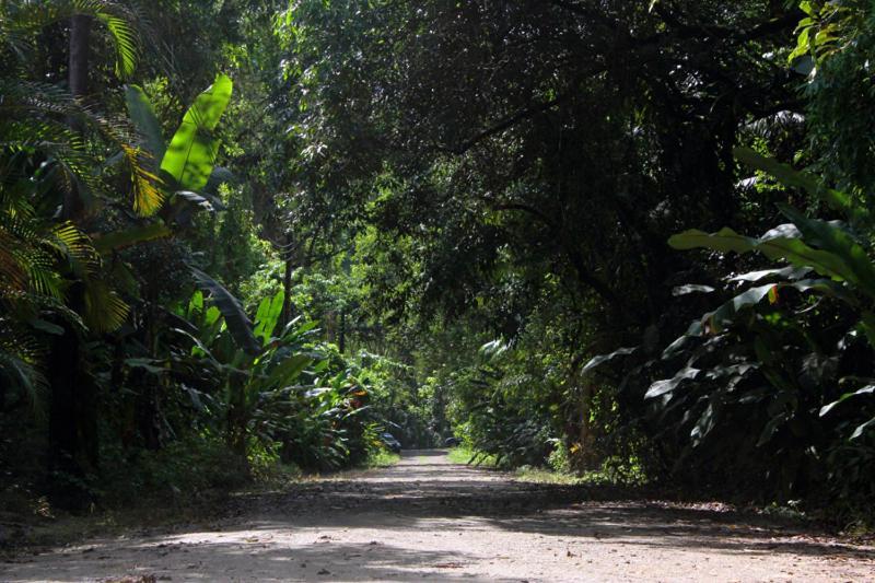 Mambuca Village Ubatuba Buitenkant foto